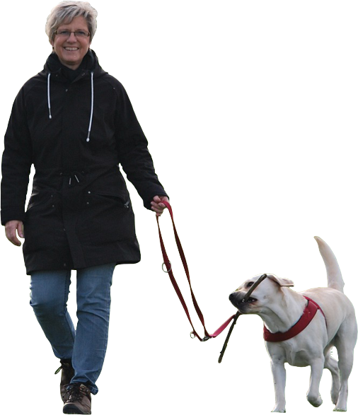 A woman in a black coat holding a red leash walks toward the viewer leading a white dog carrying a stick